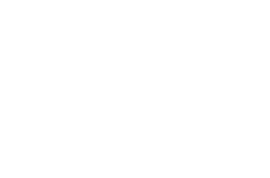 Logo T-Carica